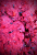 4bd83317d90870c417d2041fe299761b.png