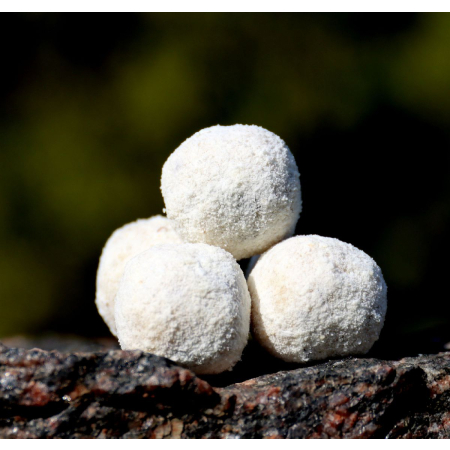 901839d870f7682d0b6bb388194961d1.jpg