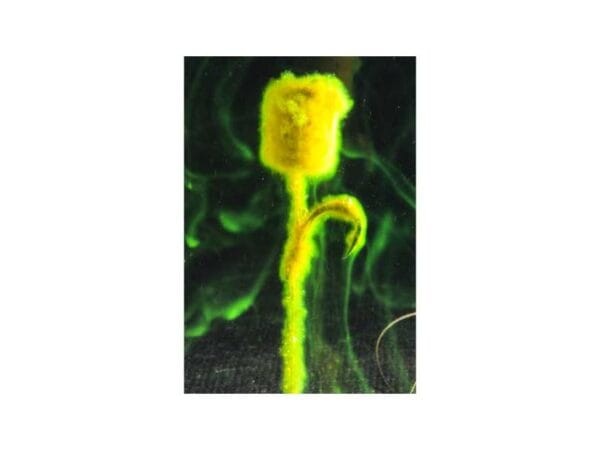 powderdipfluo3-600x450.jpg
