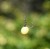 120322eef5db8623dff6724f67f0188c