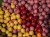52eb991f80ceee9287b7464ff23ab8b8.jpg